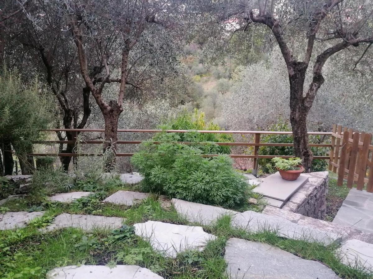 Nonna Paola Guest House Leivi Exterior foto